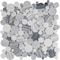 Msi Alaska Gray River Stone SAMPLE Polished Marble Mesh-Mounted Mosaic Tile ZOR-MD-0119-SAM - alternate 1